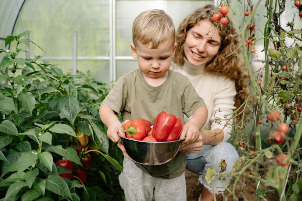 Kids’ Guide to Growing Tomatoes: A Fun and Easy Tutorial