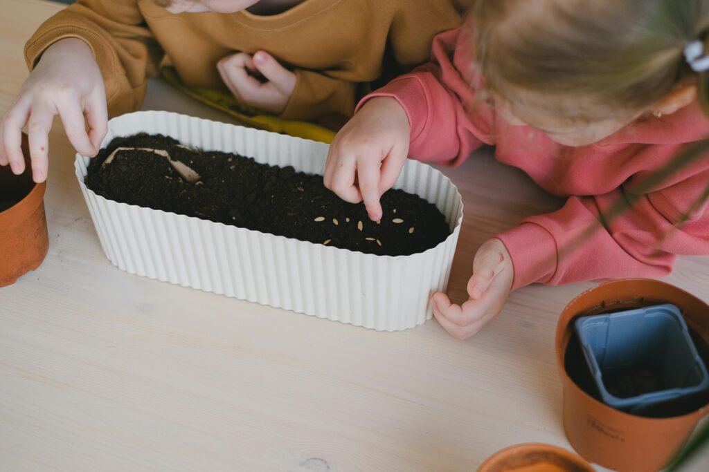 kids grow microgreens